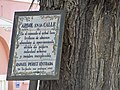 Árbol en la calle Rafael Pérez Estrada, 2021-08-31.