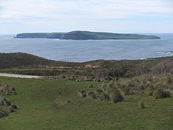 Trefoil Island seen from Cape Grim.