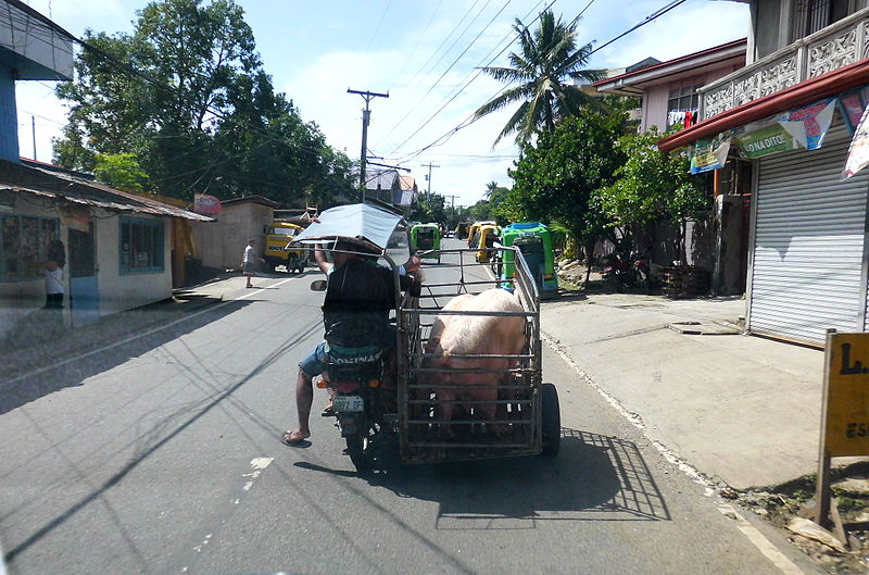 Die Autorikscha 800px-Tricycle_Viehtransport