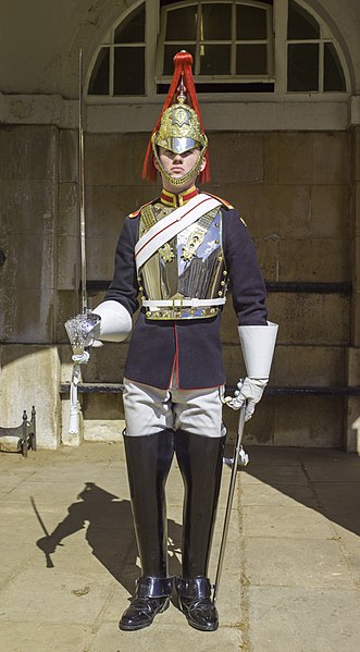 Trooper of The Blues and Royals