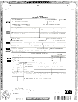 United States long form birth certificate