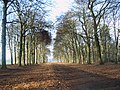 On the Utrechtpad hiking trail, south of Leersum