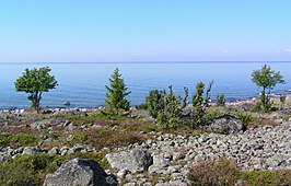 De kust van het eiland Holmön; Het vasteland is net zichtbaar langs de horizon.
