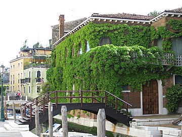 Le pont privé de la Salute