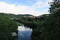 * Nomination Vieille-Brioude, viewed from the North, with the Allier River at its feet. --LeZibou 19:32, 20 June 2017 (UTC) * Decline Lack of detail, CAs on the leaves --Uoaei1 06:25, 21 June 2017 (UTC)