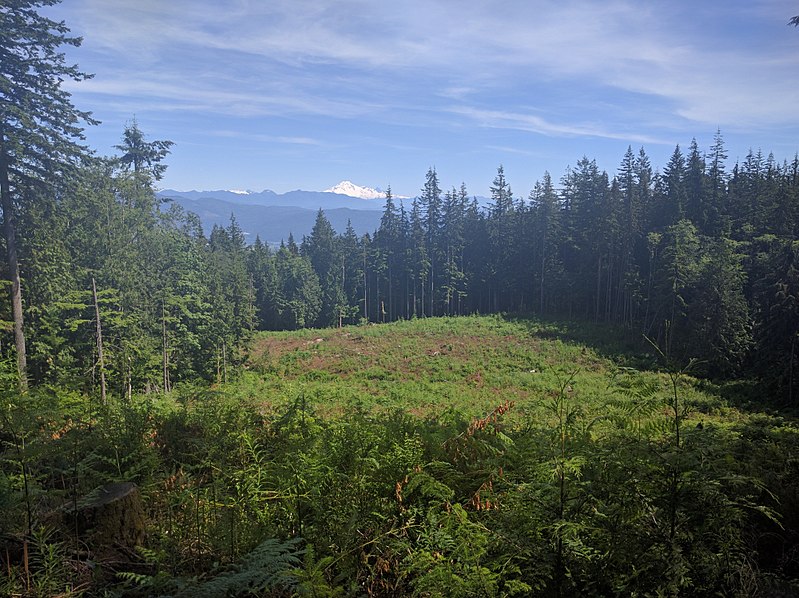 File:View from WASP Trail - panoramio.jpg