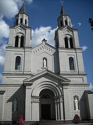 Cattedrale di Vilkaviškis