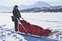 Traîneau de type toboggan, en version contemporaine avec matériaux composites. Photographie prise en mars en Alaska