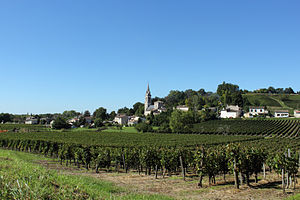 Saint-Michel-De-Fronsac: Géographie, Urbanisme, Histoire