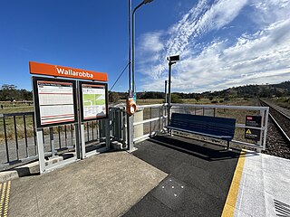 <span class="mw-page-title-main">Wallarobba railway station</span> Railway station in New South Wales, Australia