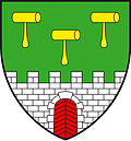 Brasão de Reinsberg