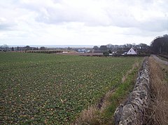 West Balmirmer Farm и Balmirmer Cottages - geograph.org.uk - 127319.jpg