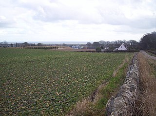 <span class="mw-page-title-main">Balmirmer</span> Human settlement in Scotland