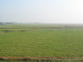 Westerhever seen from the dike