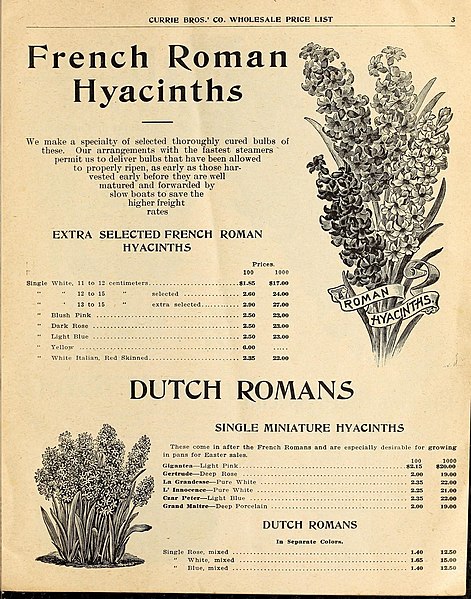 File:Wholesale price list (16374843515).jpg