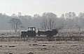 Ein Bauer beim Nist fahren n Moor bei Oppeln, da der Boden gefroren ist, muß der Bauer auch am Sonntag nach der Kirche fahren