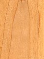 Wood spanischer Nussbaum.jpg