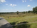 Wulmstorfer Heide mit Bornberg