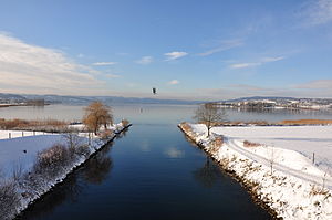 Le canal traversant le « Frauenwinkel », un site marécageux sur les rives du lac de Zurich. Le site est protégé par le canton de Zurich depuis 1980.