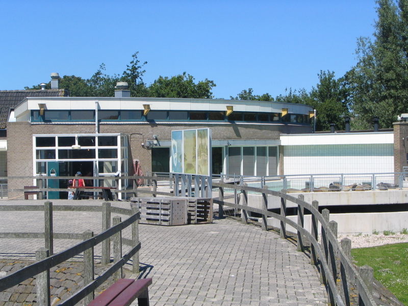 File:Zeehondencreche Pieterburen-5.JPG