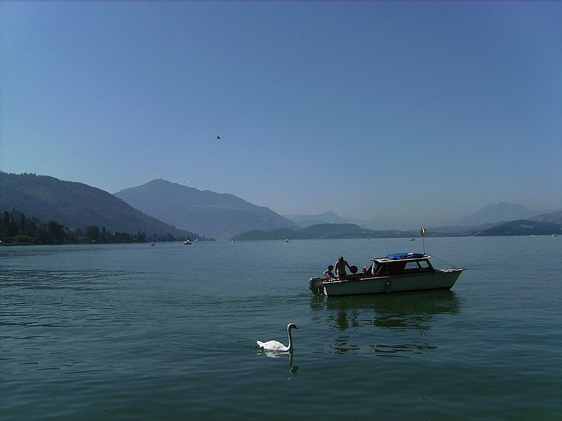 File:Zug lake seen from Zug.jpg