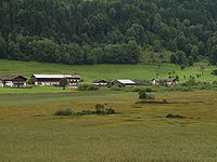 Zwischenmoor, Schwemm Tirol