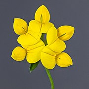 Lotus corniculatus (common bird's-foot trefoil) - Inflorescence