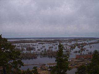 Inondations liées à la débâcle de la Léna (en mai 2009)