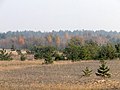 Самарский лес возле с. Васильевка 02.JPG