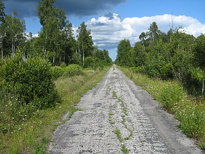 Дорога Приютино — Койранкангас