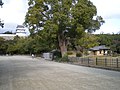 明石公園 - panoramio - kcomiida (3).jpg
