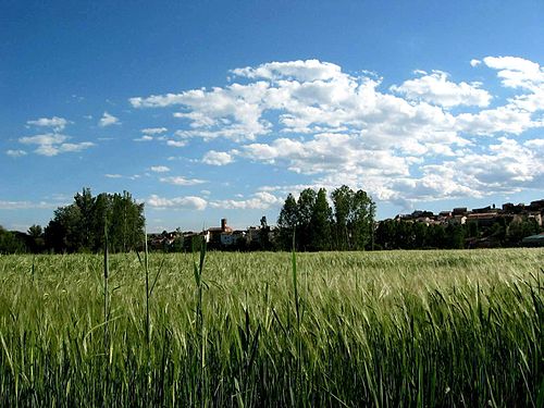 Vista parcial de Torrebaja (Valencia), desde un cebadal de El Rento.