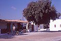 1970-9-16 Mykonos - Cafe Ana Mera.jpg