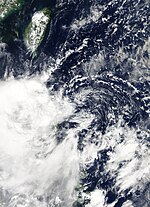 2017年の台風: 台風の日本接近数, 月別の台風発生数, 各熱帯低気圧の活動時期