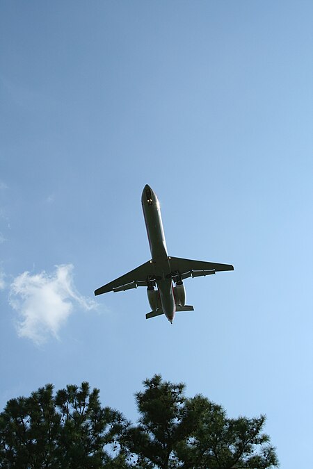 Fail:2008-08-01 Jet over a pine tree on 5L final at RDU.jpg