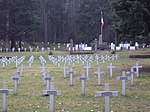 2009 01 30-cimetière militaire Guebwiller2.jpg