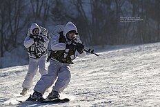 Republic Of Korea Army Special Warfare Command