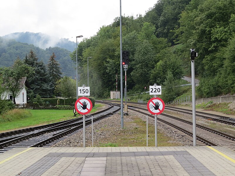 File:2017-09-19 (487) Rail tracks at Bahnhof Traisen.jpg