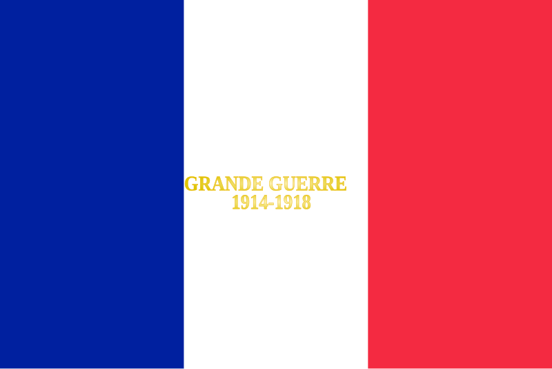 File:25e régiment du génie de l'air-drapeau.svg