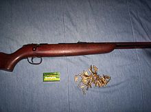Remington Model 512 Sportmaster with standard .22LR ammunition 512Sportmaster.jpg