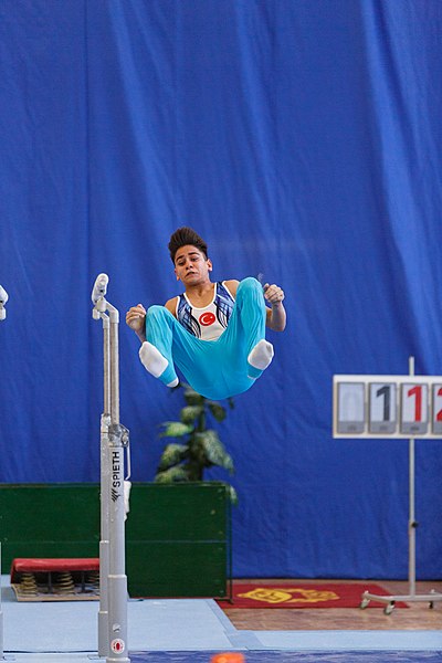 File:5th Budapest Cup 2019-05-25 Volkan Arda Hemeret (Norman Seibert) - 02313.jpg