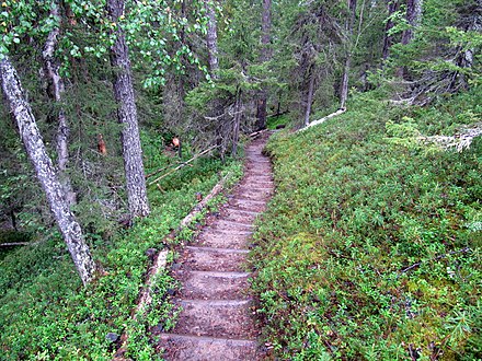 The Karhunkierros ("Bear's Round"), an  long hiking trail through the Oulanka National Park in Kuusamo, Finland.