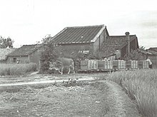 A cattle-man powered push-pull narrow gauge train in rural Taiwan (1930s) A cattle-man powered push-pull narrow gauge train in rural Taiwan.jpg