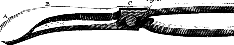 File:A general system of surgery Fleuron N002403-17.png