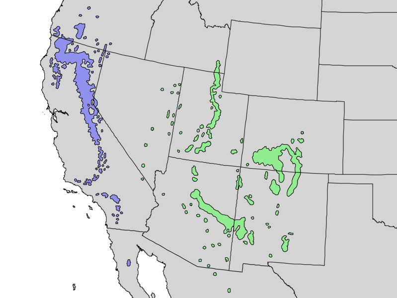 File:Abies concolor range map 3.png