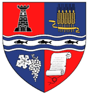 Actual Bihor county CoA