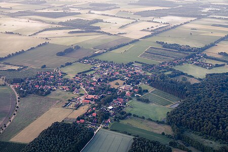 Aerial ruschwedel