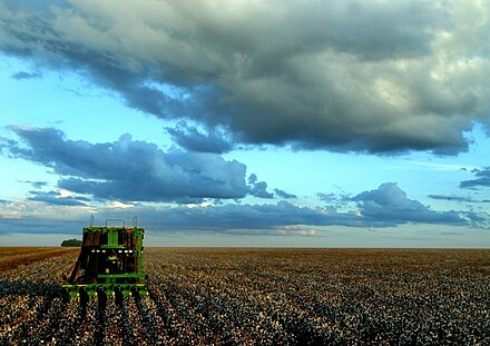 Harvester on a Brazilian cotton plantation.