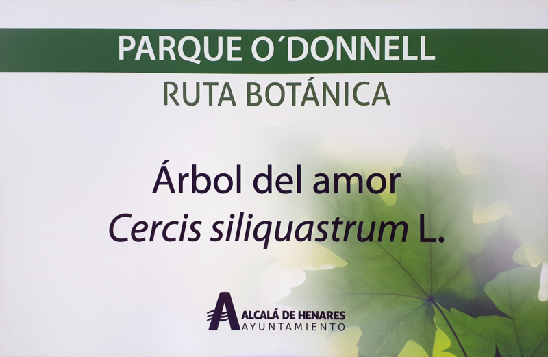File:Alcalá de Henares (RPS 28-03-2021) Parque O'Donnell, ruta botánica. Árbol del Amor, cartel.png