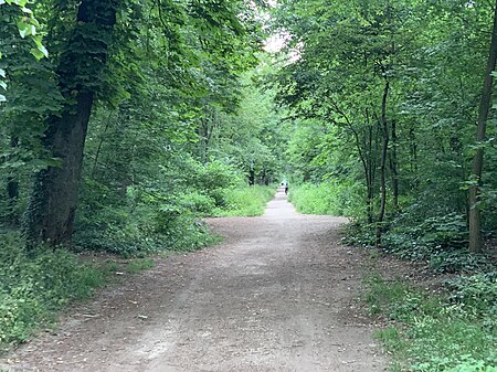 Allée Buttes Paris 2